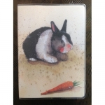 Notýsek v obalu Rabbit, 9*12 cm