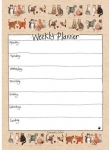 Kalendář plánovací týdenní - Marvellous moggies