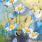 Přání Bee and daisies