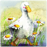 Magnetka Duck in the daisies