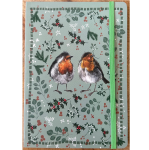 Zápisník větší - Robins, A5
