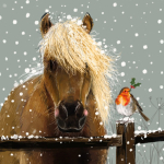 Podložka Horse &amp; Robin; 10*10 cm